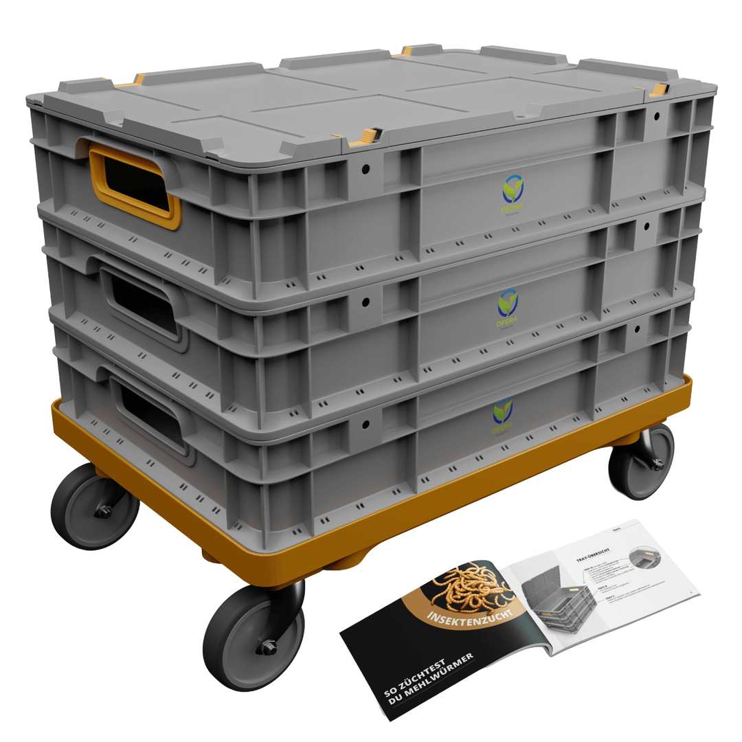 OFERA Mehlwurm Farm mit rollbarem Sockel, Zuchtbox in grau mit Zuchtanleitung
