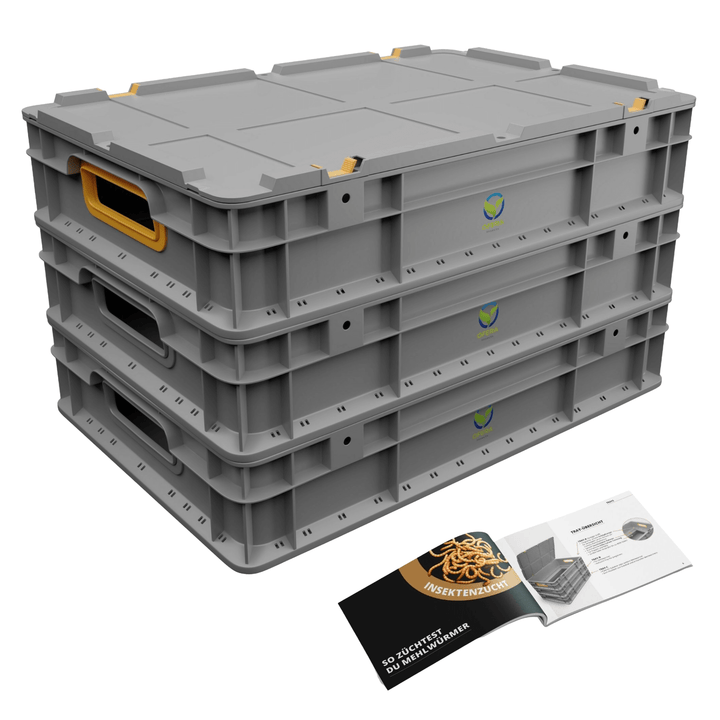 OFERA Mehlwurm Farm, Zuchtbox in grau mit Zuchtanleitung
