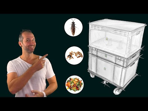 Video-Teaser from OFERA on How to Build &amp; Start Your Own Black Soldier Fly Farming Bin