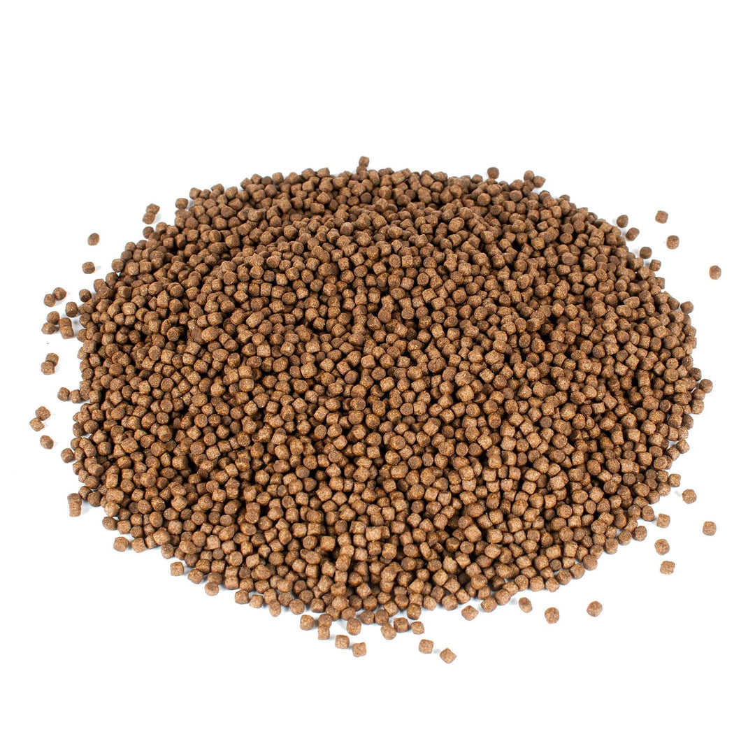 Aquaponik Fischfutter, WELS, ethoxyquinfrei